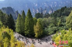 “国际张”风靡全世界 张家界入境游客5年增长59倍